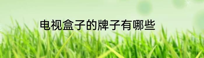 电视盒子的牌子有哪些