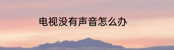 电视没有声音怎么办