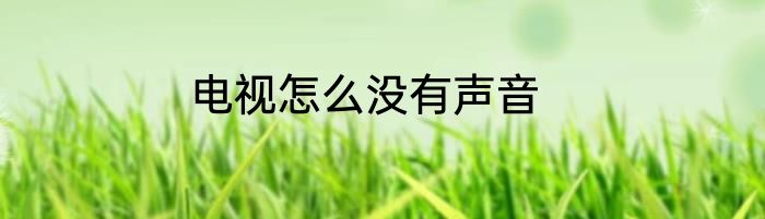 电视怎么没有声音