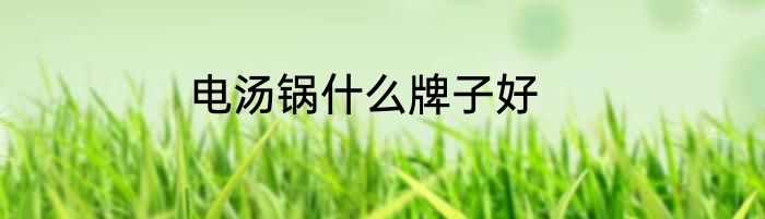 电汤锅什么牌子好