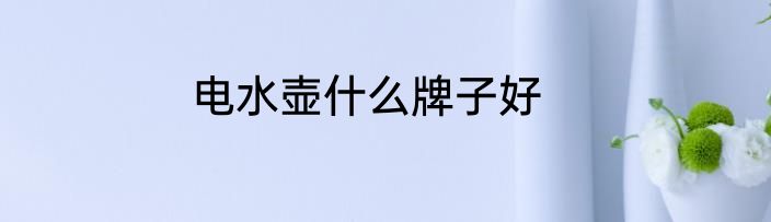 电水壶什么牌子好