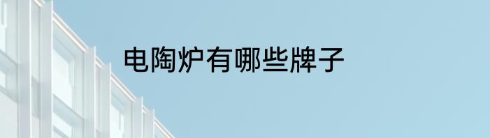 电陶炉有哪些牌子