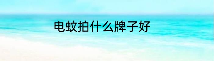 电蚊拍什么牌子好