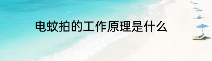 电蚊拍的工作原理是什么