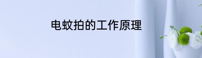 电蚊拍的工作原理