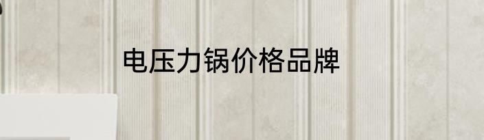 电压力锅价格品牌