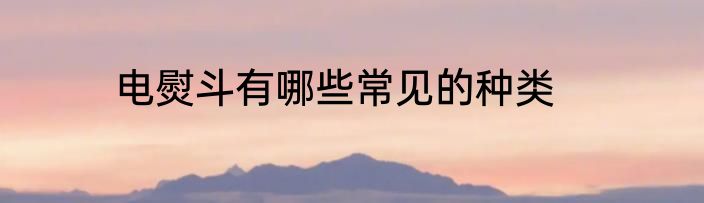 电熨斗有哪些常见的种类