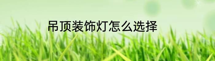 吊顶装饰灯怎么选择