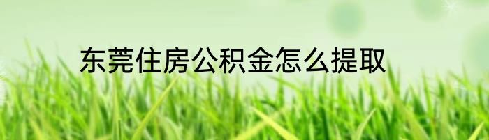 东莞住房公积金怎么提取