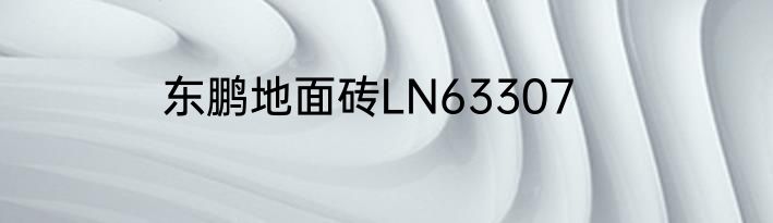 东鹏地面砖LN63307