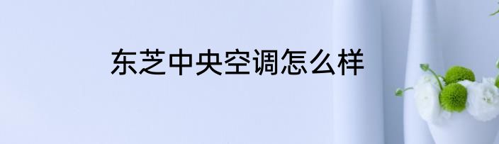 东芝中央空调怎么样