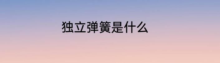 独立弹簧是什么