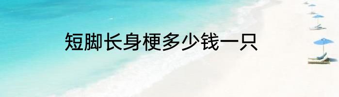 短脚长身梗多少钱一只