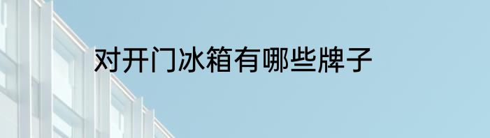 对开门冰箱有哪些牌子