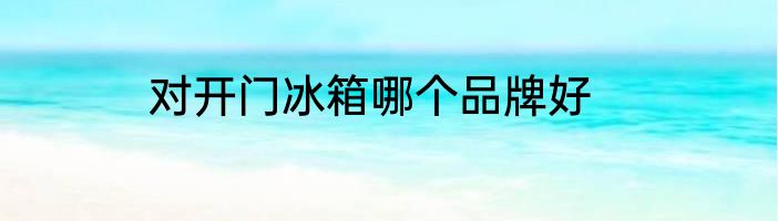对开门冰箱哪个品牌好