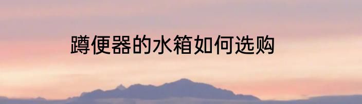 蹲便器的水箱如何选购
