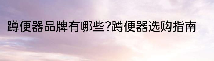 蹲便器品牌有哪些?蹲便器选购指南