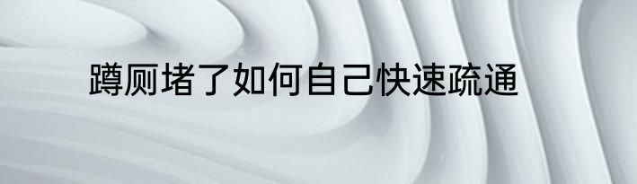 蹲厕堵了如何自己快速疏通