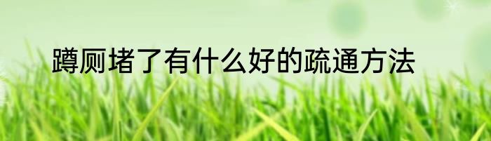 蹲厕堵了有什么好的疏通方法