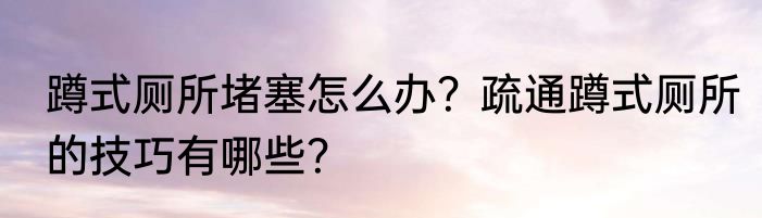 蹲式厕所堵塞怎么办？疏通蹲式厕所的技巧有哪些？
