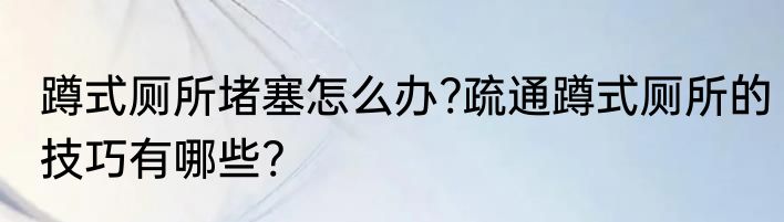 蹲式厕所堵塞怎么办?疏通蹲式厕所的技巧有哪些?