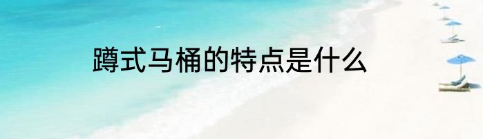 蹲式马桶的特点是什么