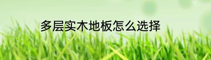 多层实木地板怎么选择