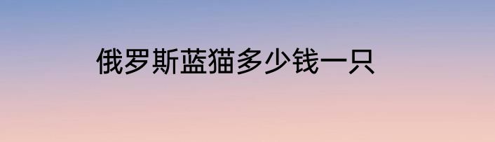 俄罗斯蓝猫多少钱一只