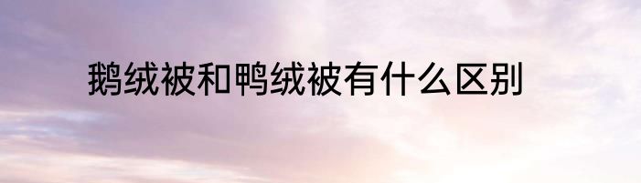 鹅绒被和鸭绒被有什么区别