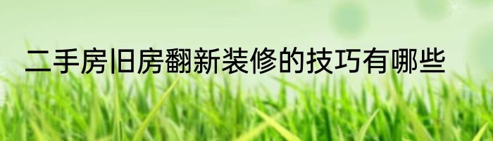 二手房旧房翻新装修的技巧有哪些