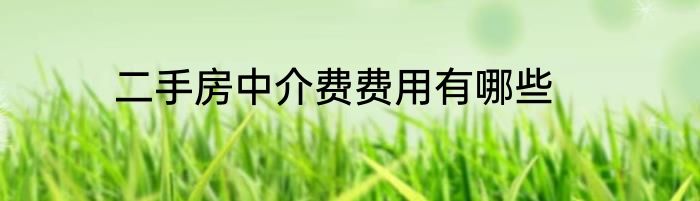 二手房中介费费用有哪些