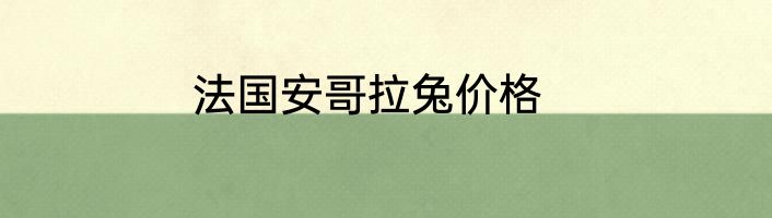 法国安哥拉兔价格