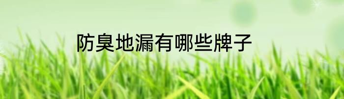 防臭地漏有哪些牌子