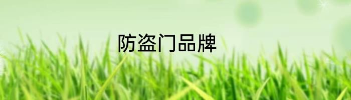 防盗门品牌