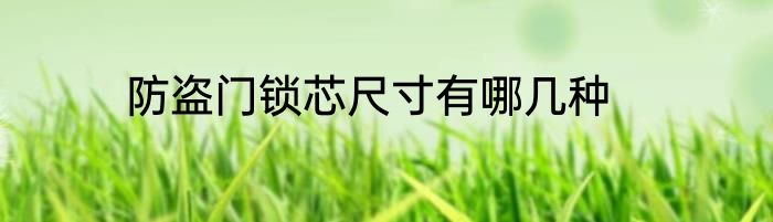 防盗门锁芯尺寸有哪几种