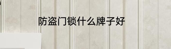 防盗门锁什么牌子好