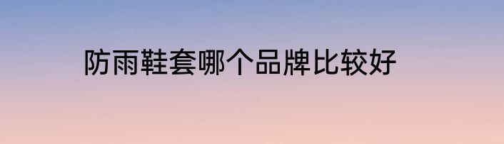 防雨鞋套哪个品牌比较好