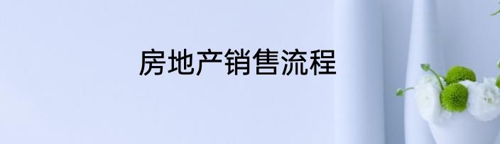 房地产销售流程