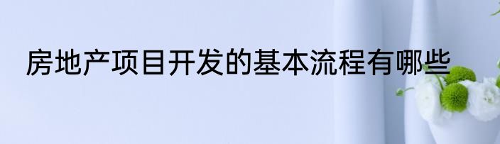 房地产项目开发的基本流程有哪些