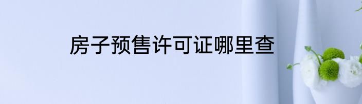 房子预售许可证哪里查