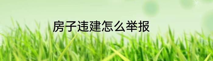 房子违建怎么举报