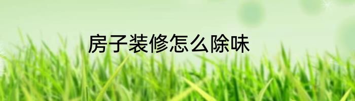 房子装修怎么除味