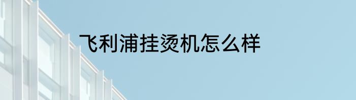 飞利浦挂烫机怎么样