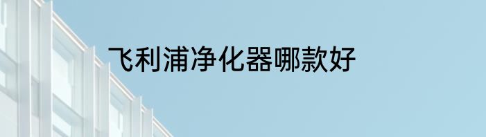 飞利浦净化器哪款好