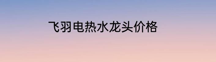飞羽电热水龙头价格