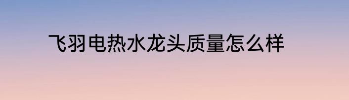 飞羽电热水龙头质量怎么样