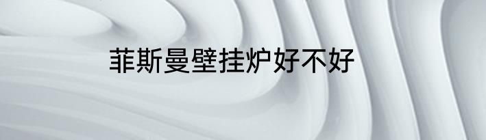 菲斯曼壁挂炉好不好