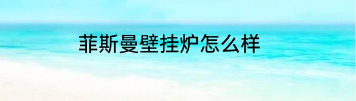 菲斯曼壁挂炉怎么样