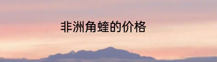 非洲角蝰的价格