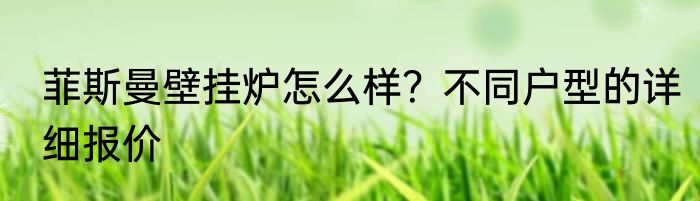 菲斯曼壁挂炉怎么样？不同户型的详细报价